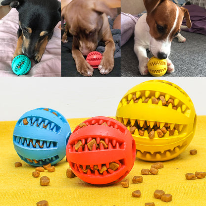 Pet Slow Feeder Cute Funny