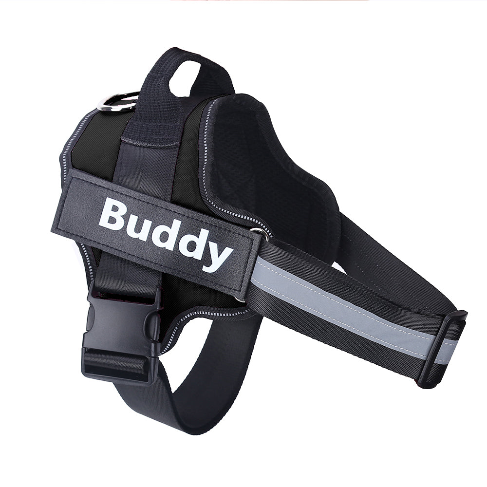 Personalized Dog Pet Harness
