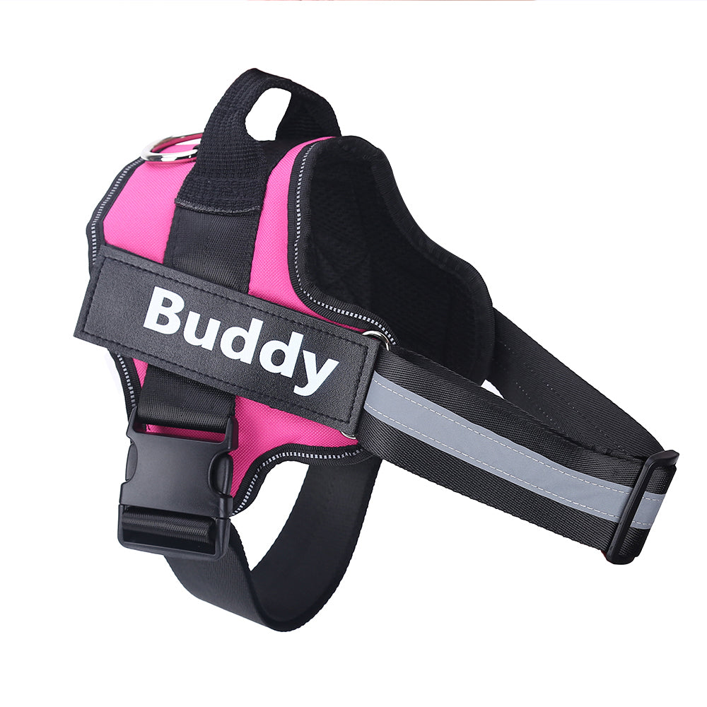 Personalized Dog Pet Harness
