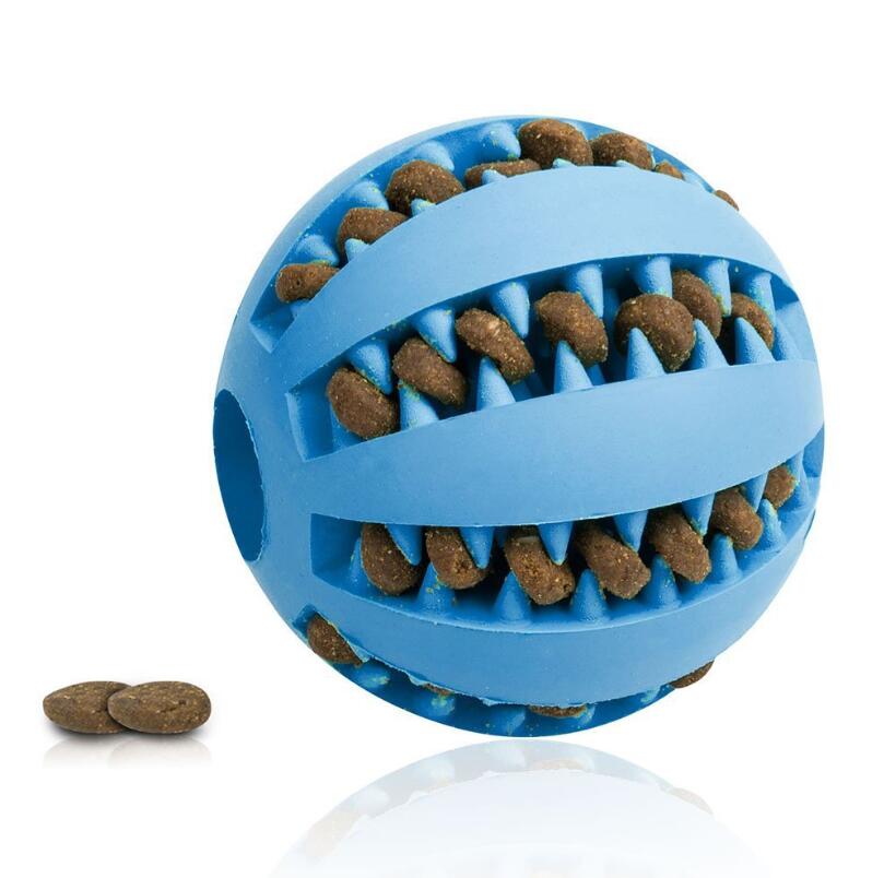 Pet Slow Feeder Cute Funny
