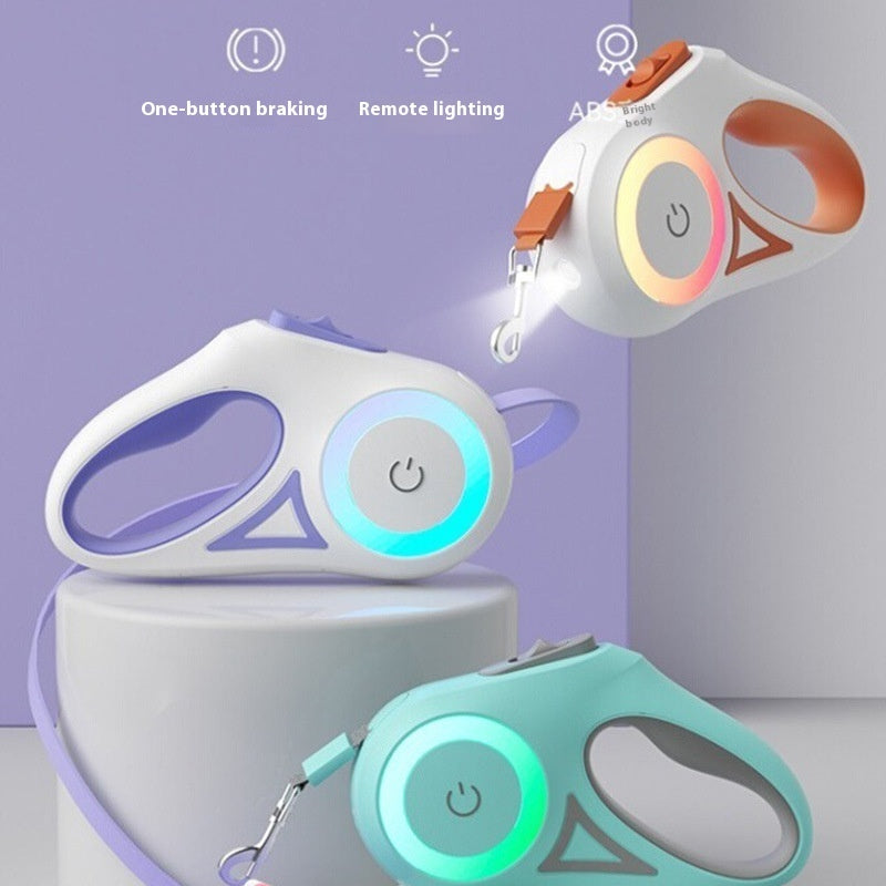 Retractable Leash And Dog Collar Spotlight