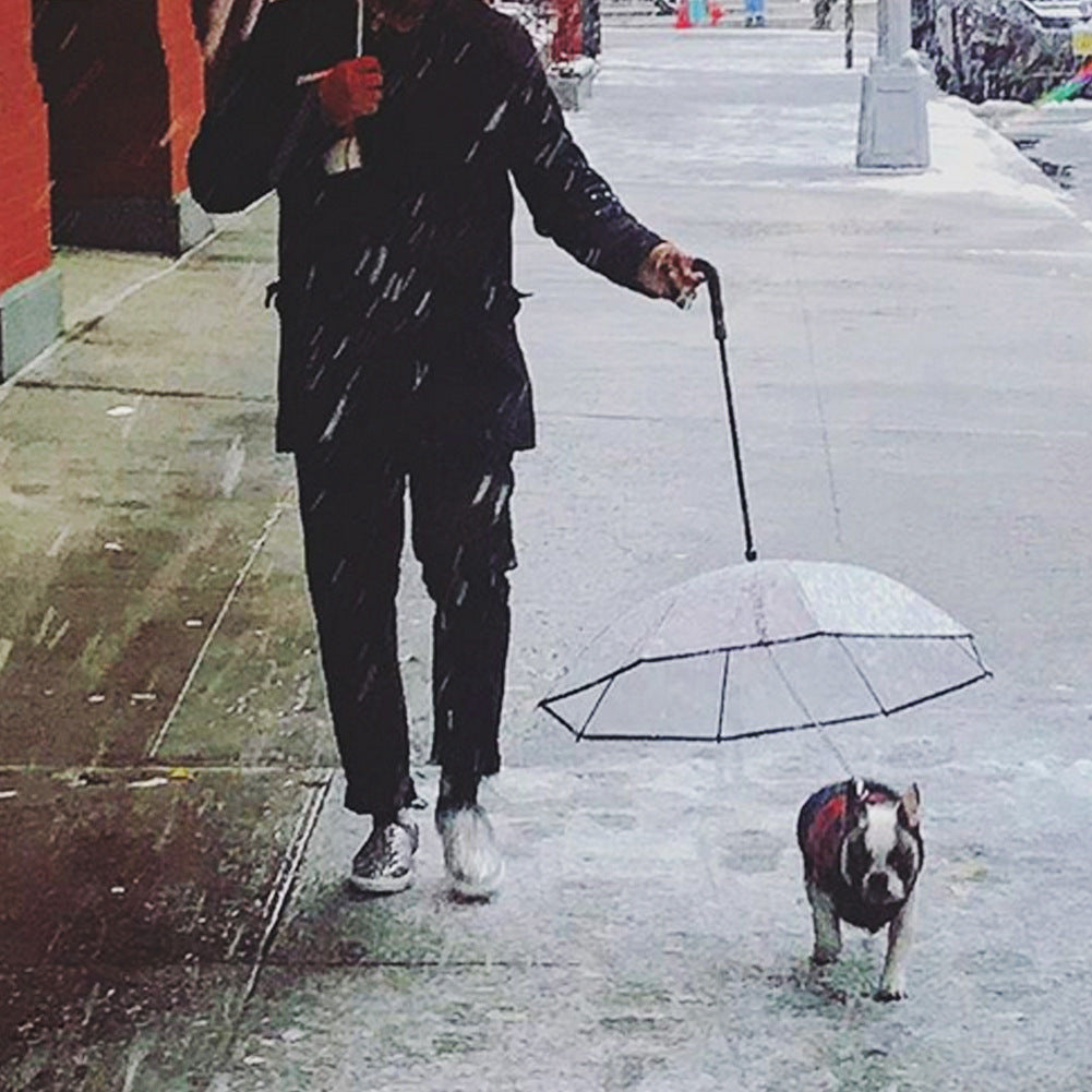 Dog Transparent Umbrella With Traction Chain Removable Umbrella