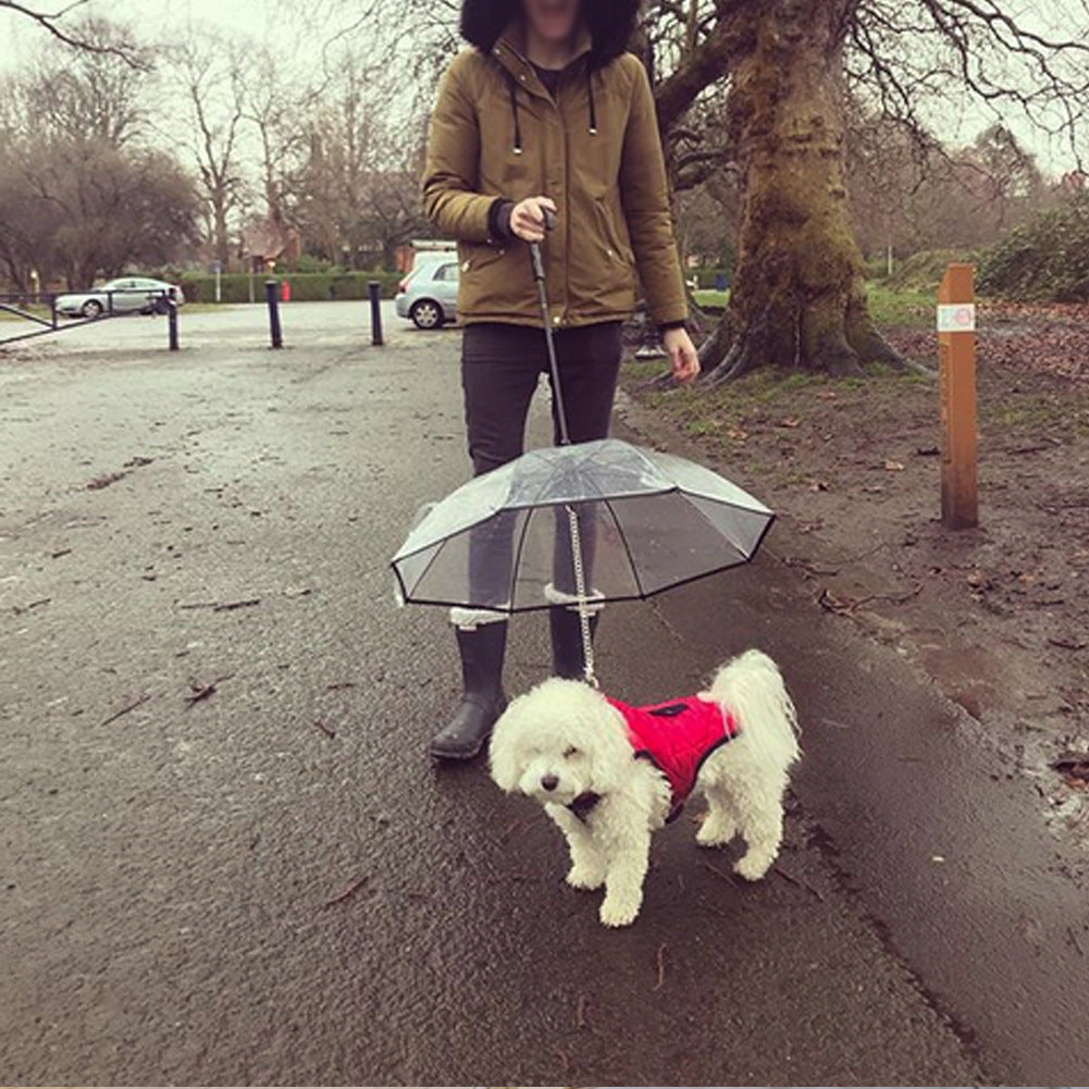 Dog Transparent Umbrella With Traction Chain Removable Umbrella