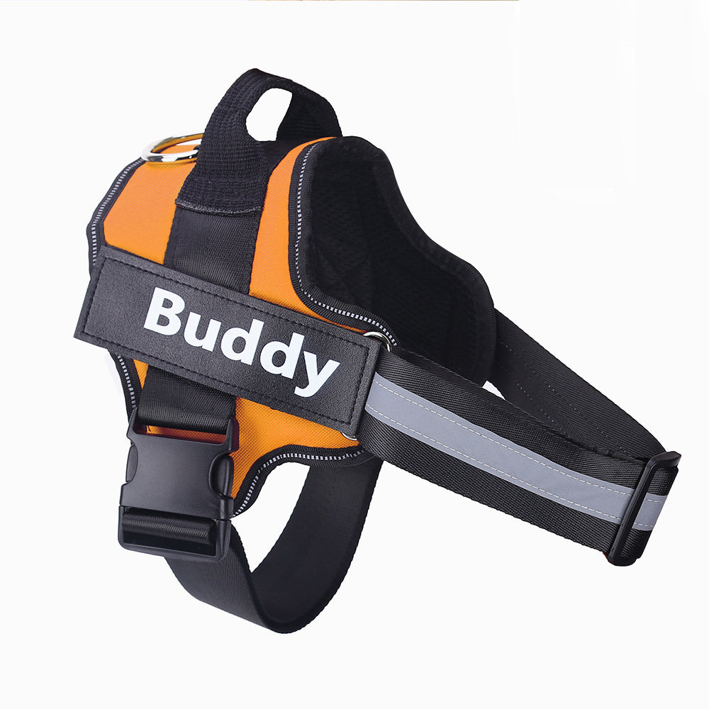 Personalized Dog Pet Harness