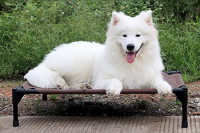 Pet bed dog moisture-proof