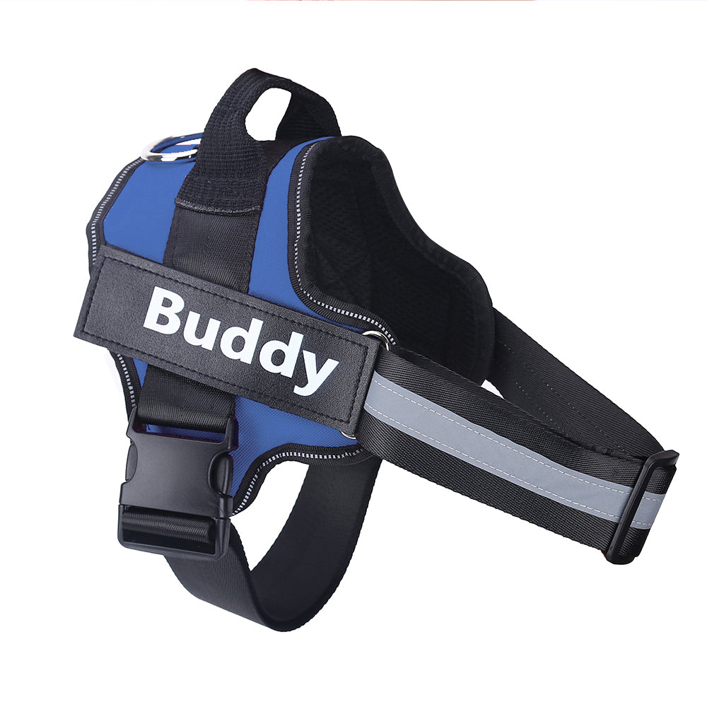 Personalized Dog Pet Harness