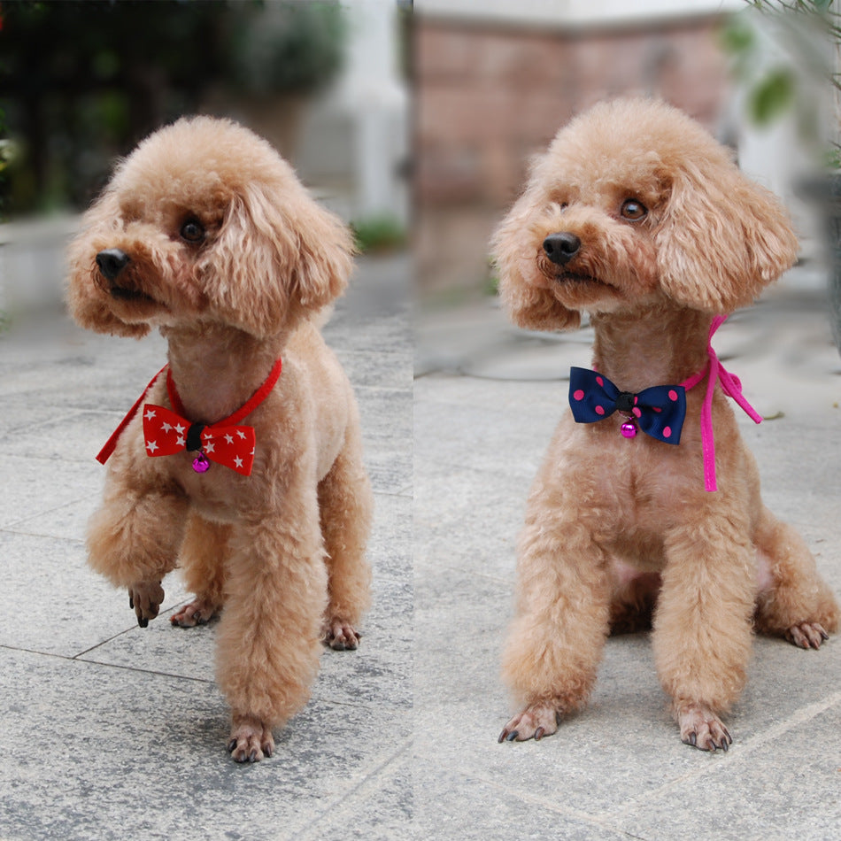 Pet accessories - bow