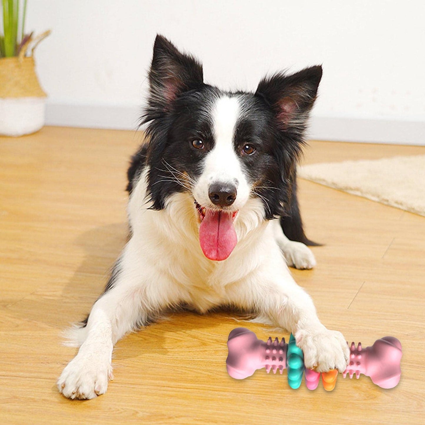 Dog Chew Toy - Teeth Cleaning Toys I