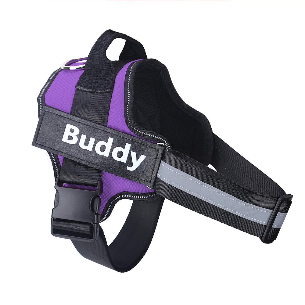 Personalized Dog Pet Harness