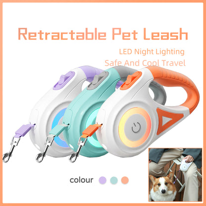 Retractable Leash And Dog Collar Spotlight
