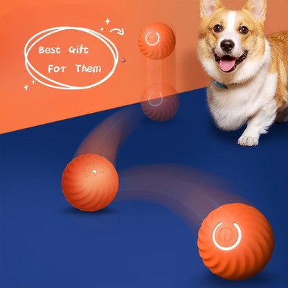 Pet Dog Rubber Ball Toys For Dogs Biting Resistance