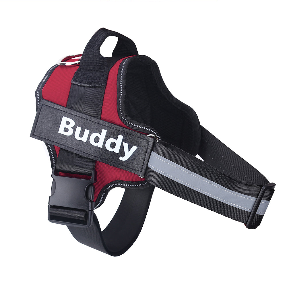 Personalized Dog Pet Harness
