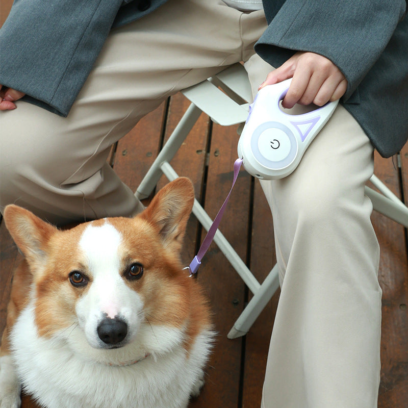 Retractable Leash And Dog Collar Spotlight