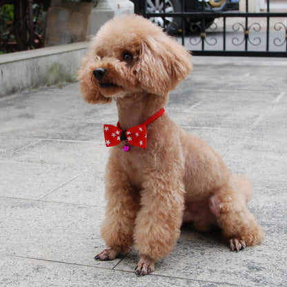 Pet accessories - bow