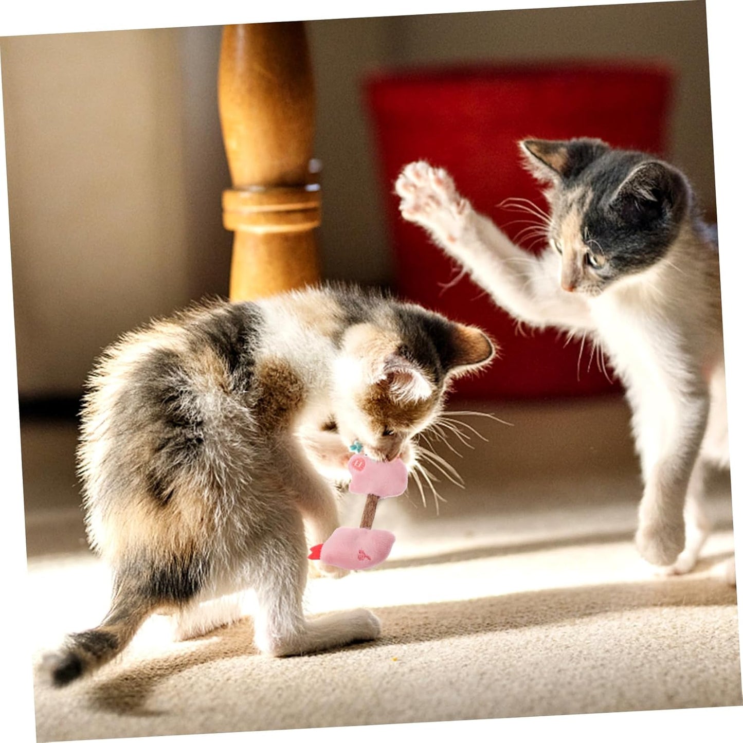 Chew Sticks For Cats - Teeth Cleaning