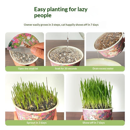 Soil-free Mixed Cat Grass Treats