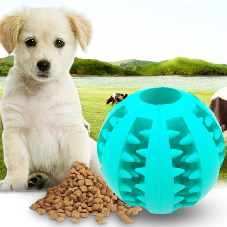 Pet Slow Feeder Cute Funny