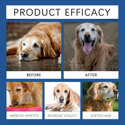 Care Older Dog Calcium Tablets Supplement Nutrition Pet Nutrition