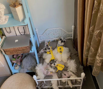 Dog, Cat Kennel Pet Hanger Swing Cradle