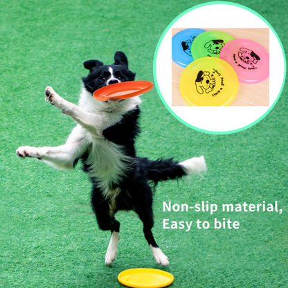 Silicone Flying Saucer