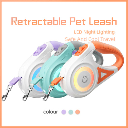 Retractable Leash And Dog Collar Spotlight