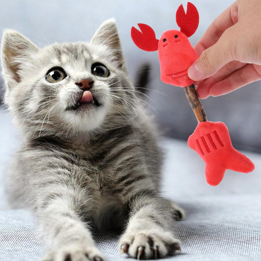 Chew Sticks For Cats - Teeth Cleaning
