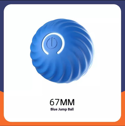 Pet Dog Rubber Ball Toys For Dogs Biting Resistance